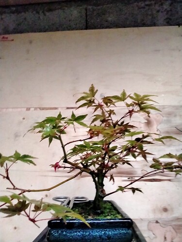 IMG20240908114735