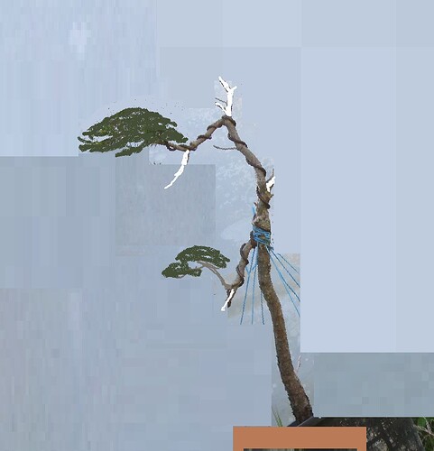 pin sylvestre lettré 2018 05 10 001virt