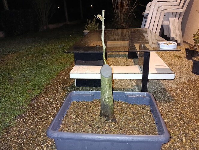 IMG_20231206_200919_767