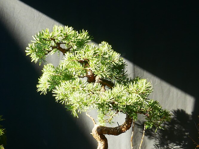P1100123