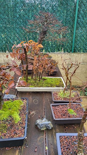 20250128_092353_resized
