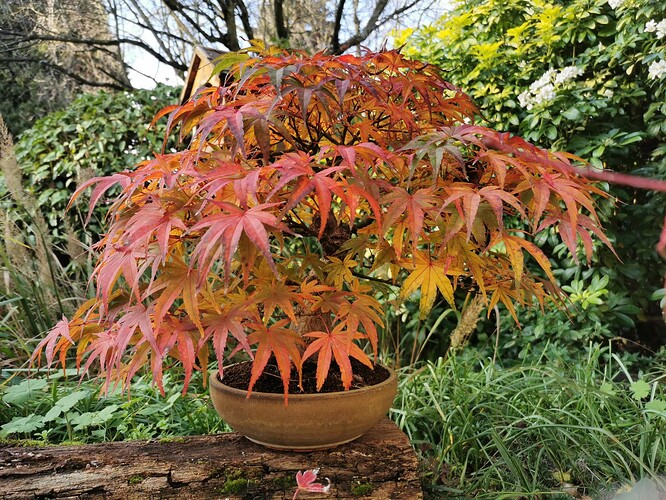 a0b60fc2-7564-45c9-8b4c-283569a6cc81-1_all_12112