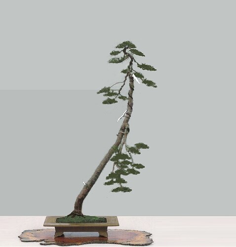 pin sylvestre lettré 2019 06 05 (5)virt2