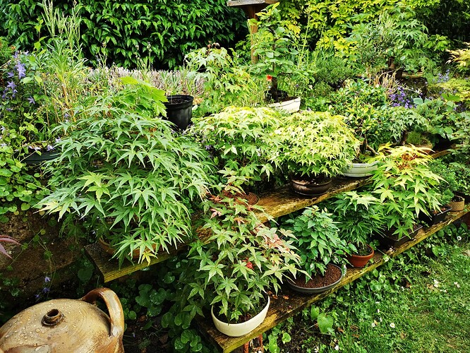 a0b60fc2-7564-45c9-8b4c-283569a6cc81-1_all_15317