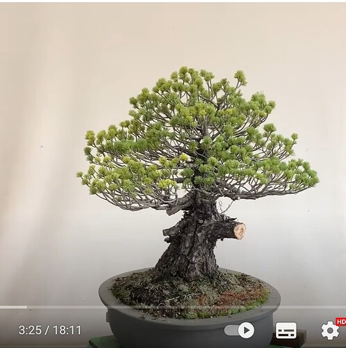 _________DSCN04