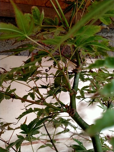 IMG20230923160639