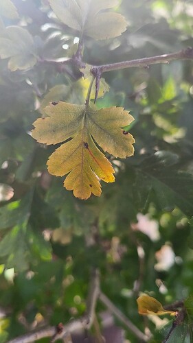 20230818_183227_resized