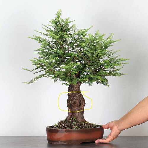 5e5e9d0feec0d093d0f146e68d53b959556fe1c3