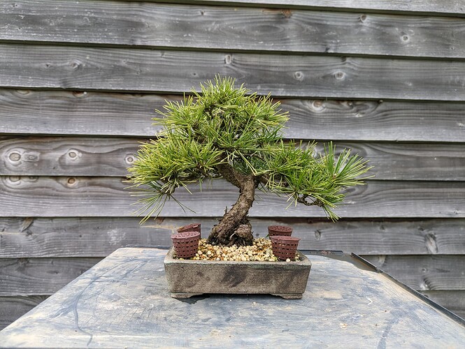 PXL_20240404_160302930