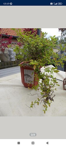 Screenshot_2024-09-08-17-17-23-107_be.tweedehands.m