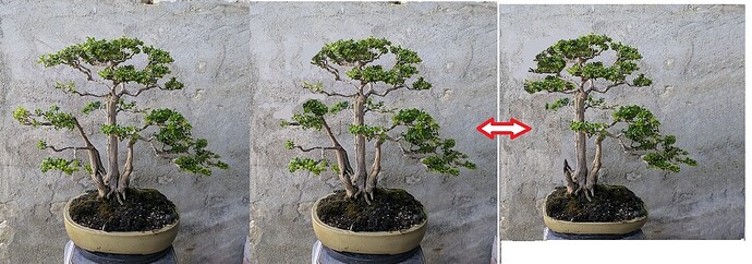 bcfe6e1c57af4d12995294ac021edd39b2a31678_2_375x499