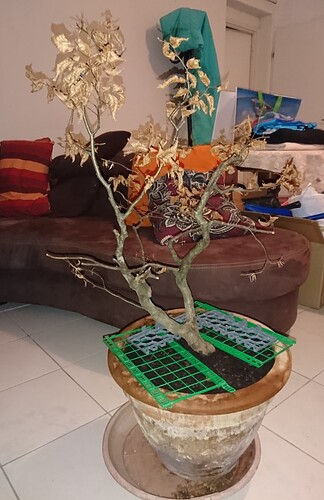 __________DSCN035virt3
