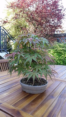 a0b60fc2-7564-45c9-8b4c-283569a6cc81-1_all_51173