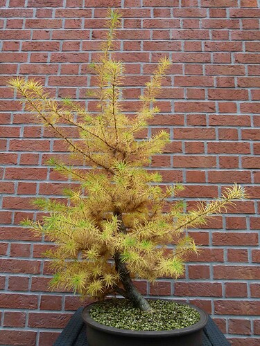 P1180050