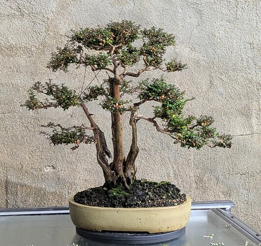 PXL_20250110_152531220~2