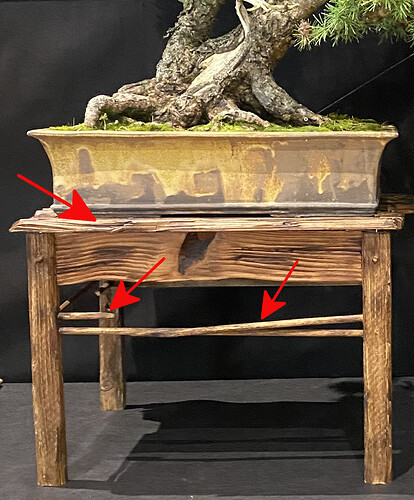 table_meleze_bonsaiolo2