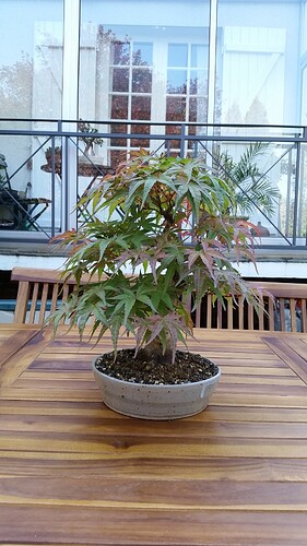 a0b60fc2-7564-45c9-8b4c-283569a6cc81-1_all_51174