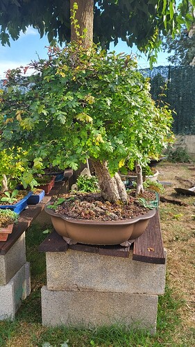 20230818_183306_resized