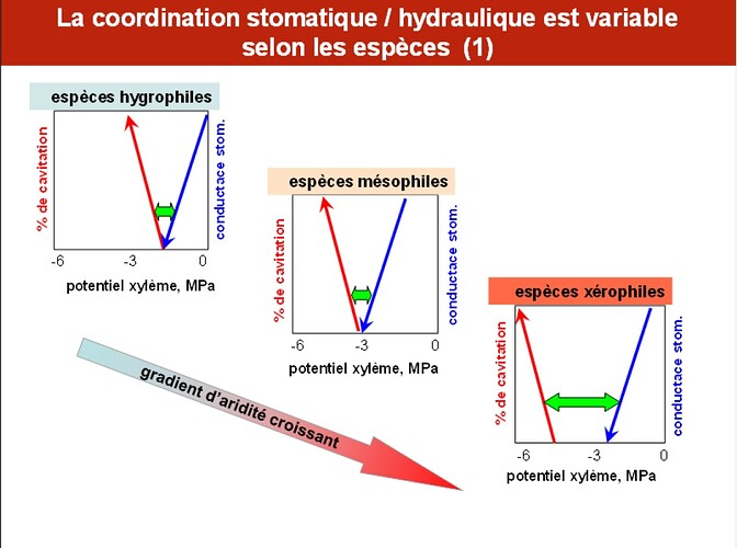 hygro méso xéro source andré granier inrae