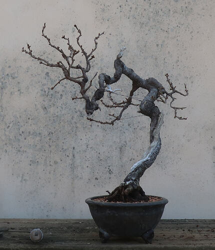 ste lucie 2026 03 19 (9)