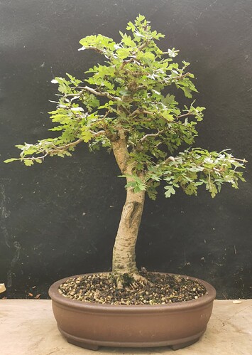 2025-06-22-15-25-29-515