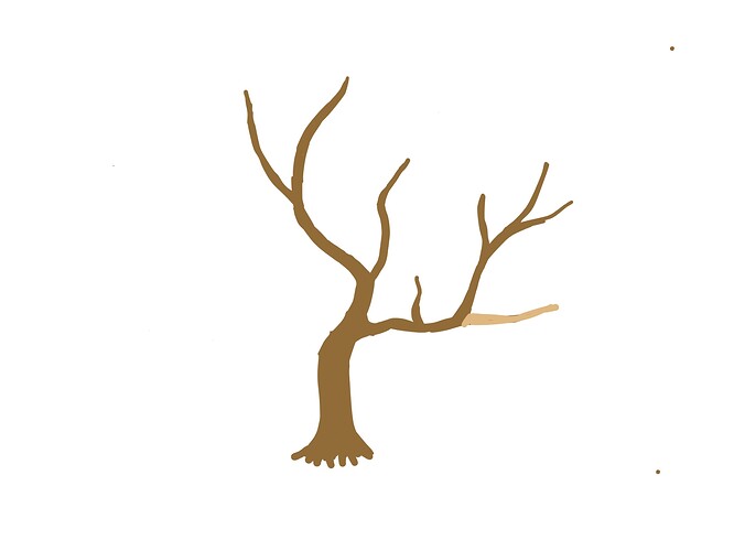 Projet (20260411101747)