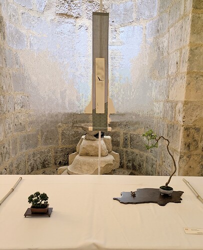 PXL_20250525_163855509~2