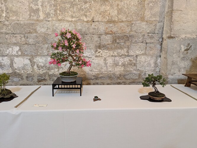 PXL_20250525_145314706