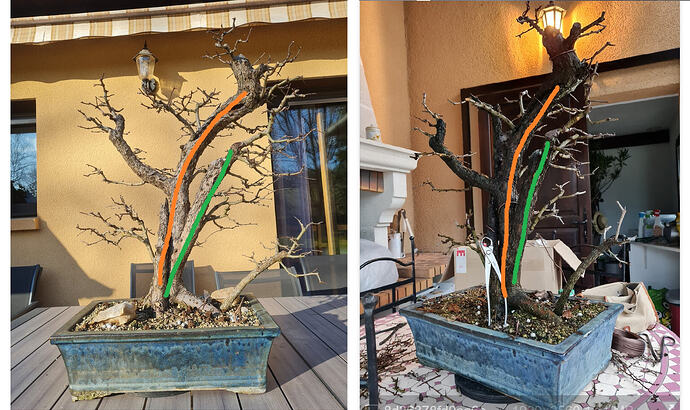 ___________DSCN01-1virt1