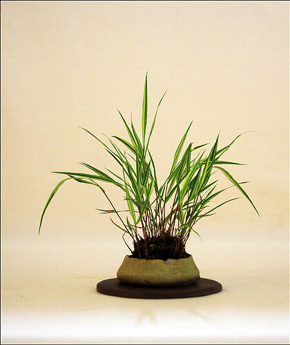 2025.05.24(41)copie1