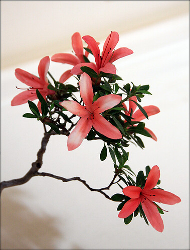 2025.05.24(58)copie1