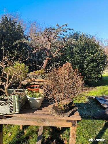 6828b4900119175eadb6259a722583f9105c052f