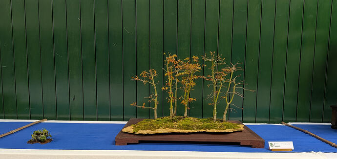 PXL_20260301_103510089