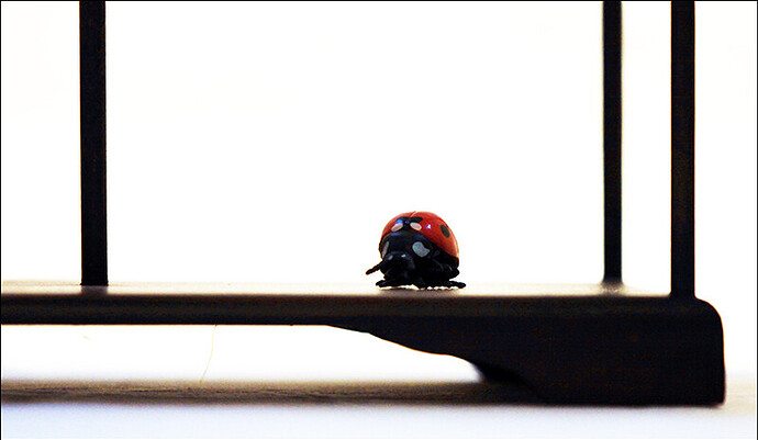 2025.05.25(39)copie1