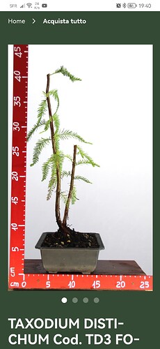 Screenshot_20251027_194033_com.android.chrome