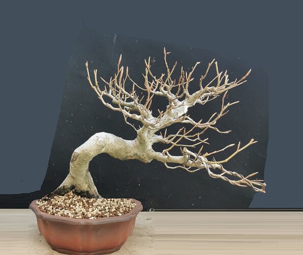 ___________DSCN132virt4