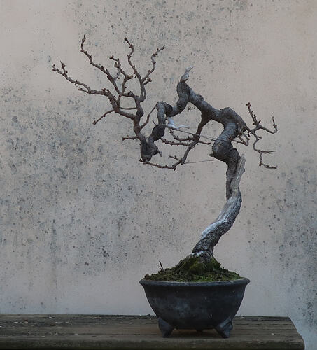 ste lucie 2026 03 19 (1)