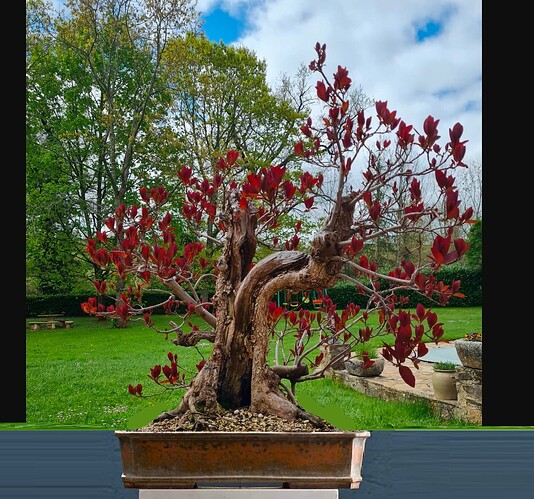 ___________DSCN01virt1-15