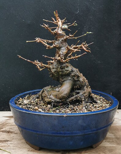 2025-11-23-15-56-27-645