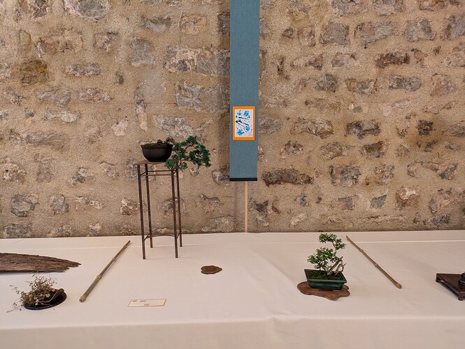 PXL_20250525_163833102