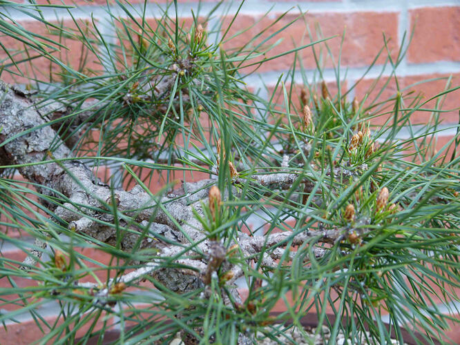 P1190553