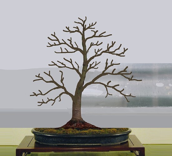 acer palmatum senkaki 2025 07 07 (7virt)