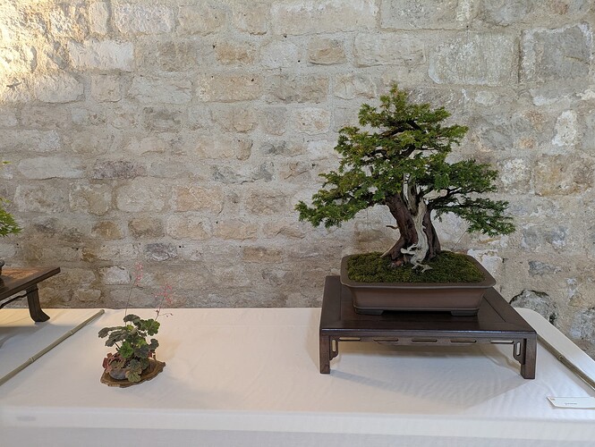 PXL_20250524_152416455