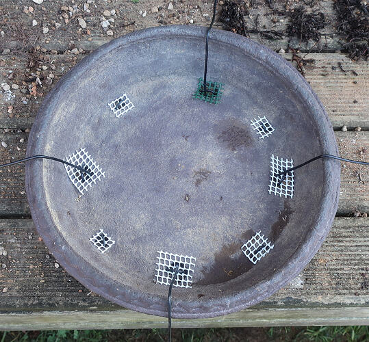 pin flexible 2026 03 04 (3 pot ryugaku)