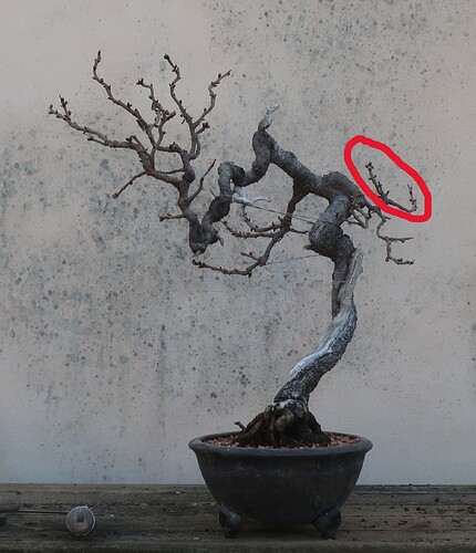 010244acd82098023d5b4bbce55c20cca0132d54