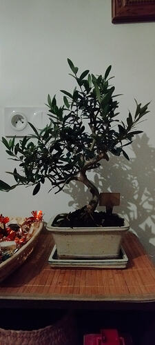 Screenshot_2026-03-19-00-38-09-767_com.google.android.apps.photos