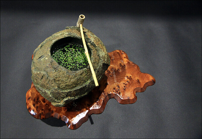 2024.10.20(20)copie1