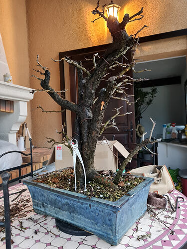 8d36378fd0aa6a39e4c309a7a5174e030bd500b8