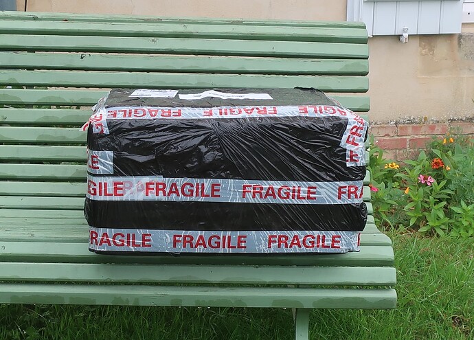 2025 07 23 Cotinus coggygria (1)