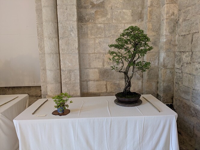 PXL_20250525_163928003